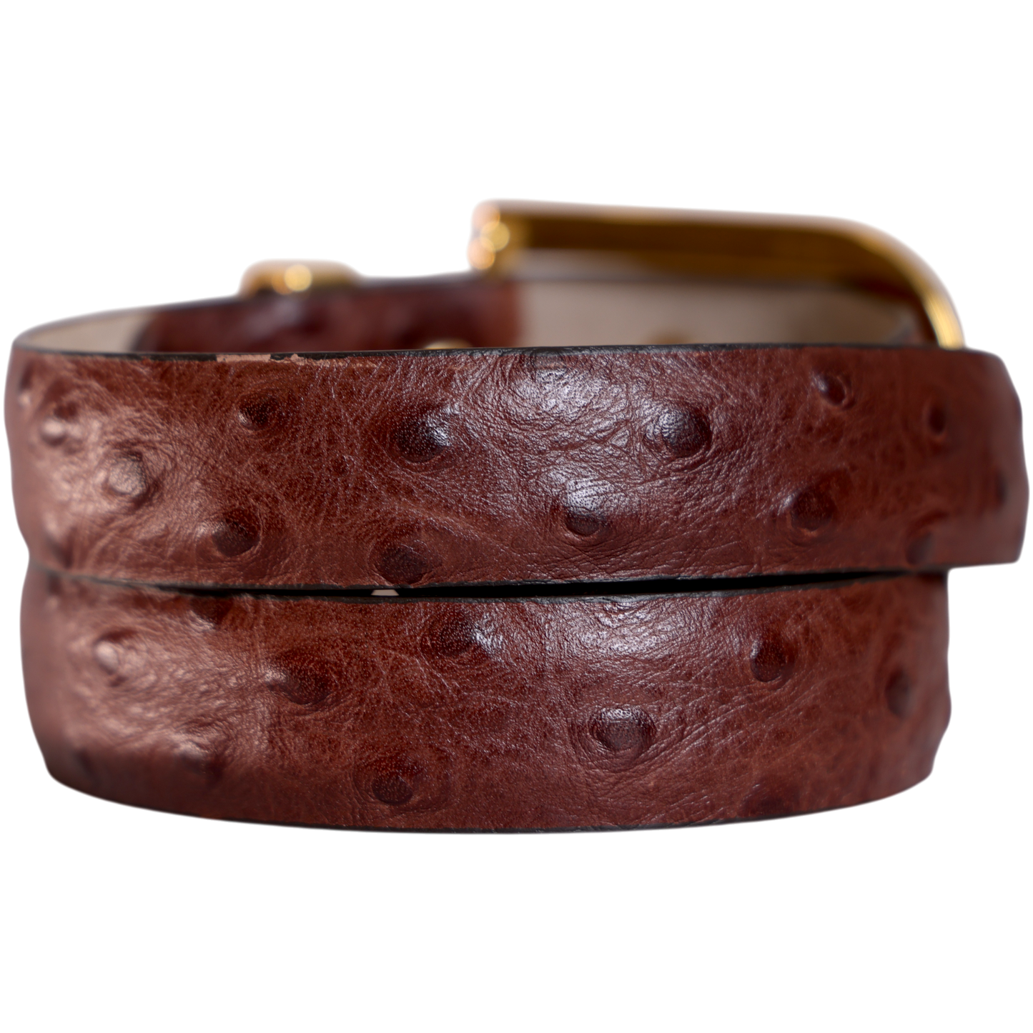 Classic Gold Brown Croc
